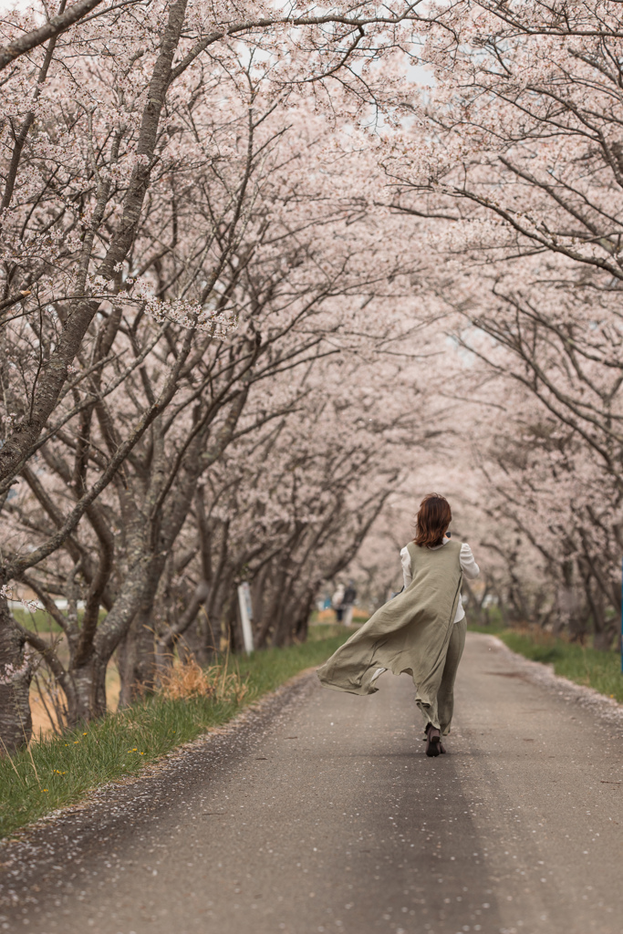 春風