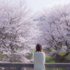 桜咲く