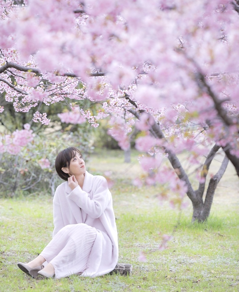 恋桜