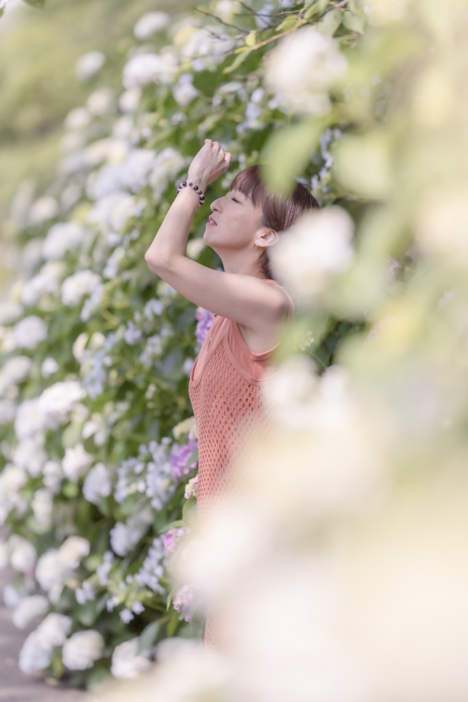 梅雨時の彩り