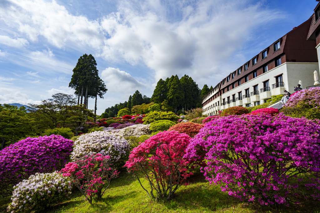 花山