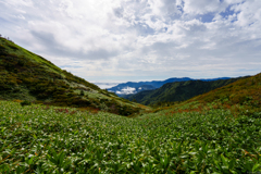 山に秋の兆し