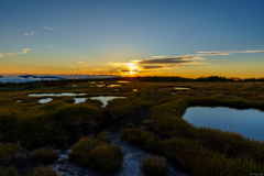夕暮れの水たまり