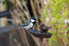 いつもより多い！