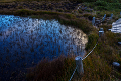 湿原の水たまり