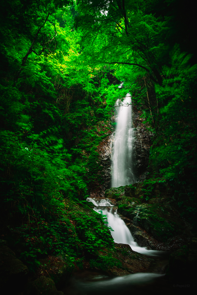 梅雨の名瀑