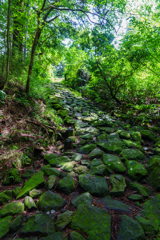 箱根旧街道は石畳