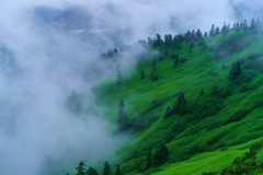 朝霧り、山を這って