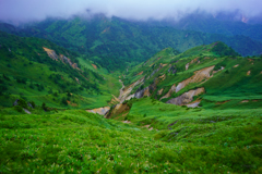 夏山、緑に染まり