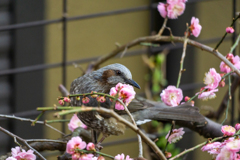 あたし綺麗？