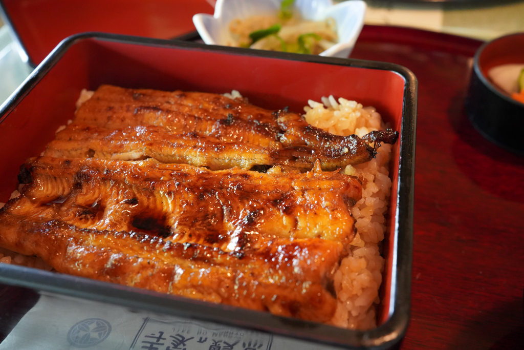 夏の鰻重で精をつける