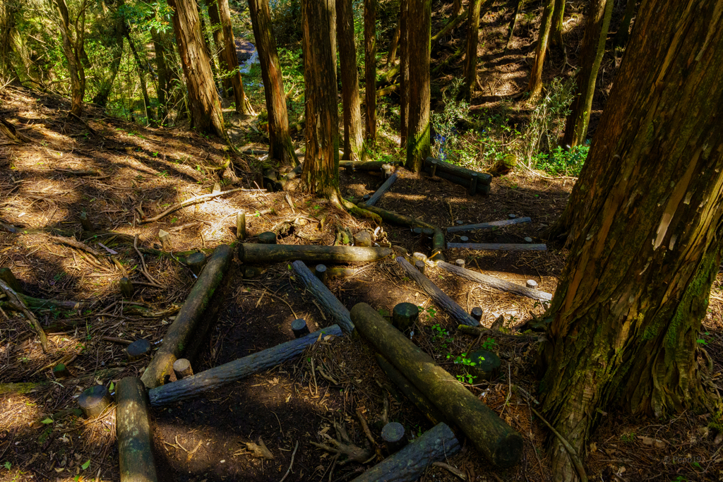 森林登山