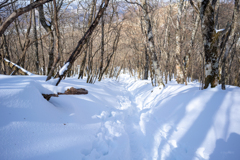 立ち滑り専用、雪の滑り台