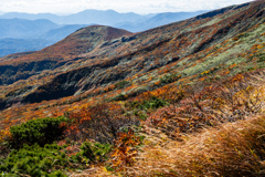 色付く山