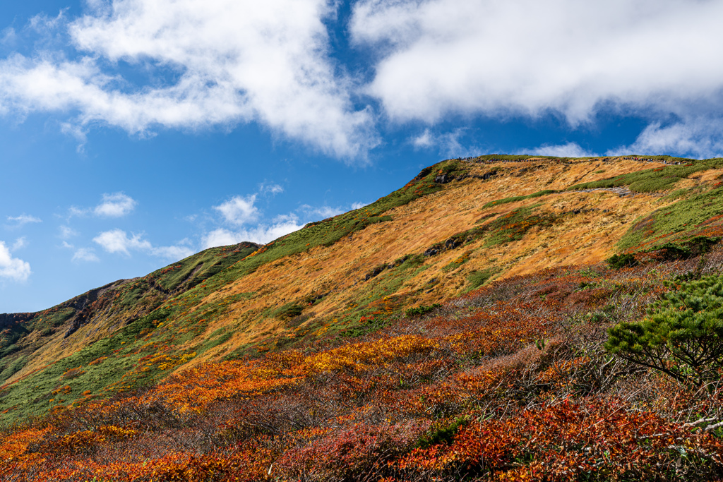 名峰栗駒山