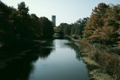 晩秋の運河
