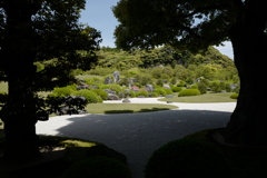 庭園