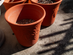 主人いない植木鉢