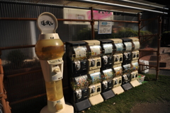 運試し
