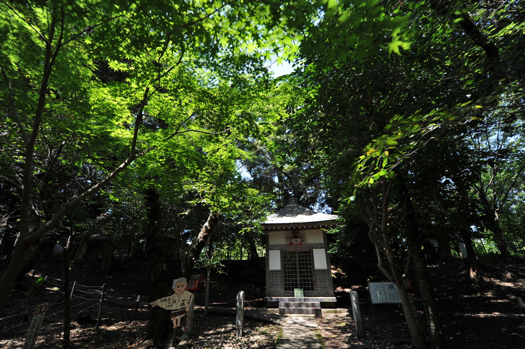 寺