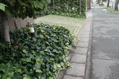 散歩