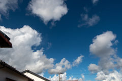 久しぶりの青空