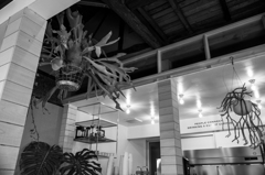 コーヒー焙煎屋で