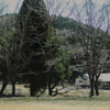 山間