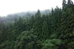 花巻での風景
