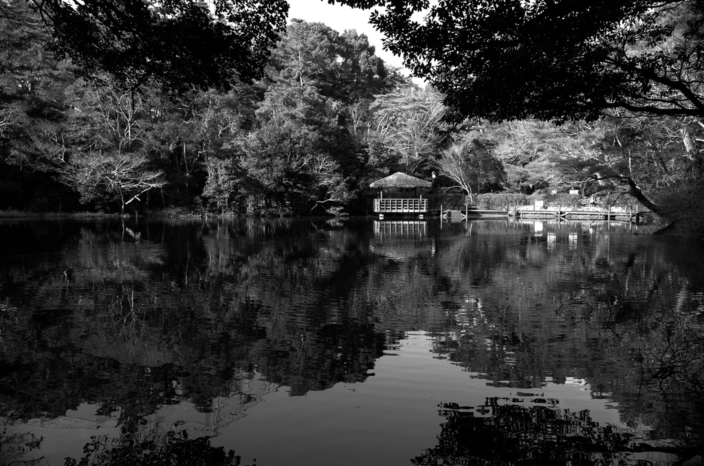 近くの池