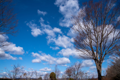 きれいな空