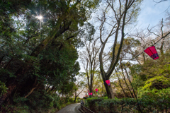 浜松城公園の春