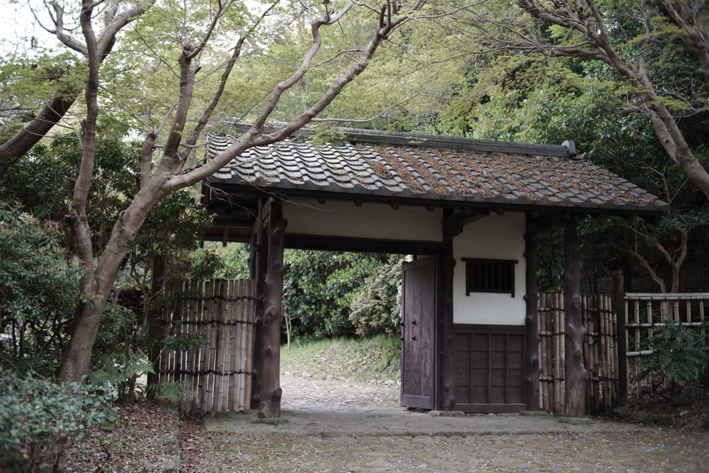 門