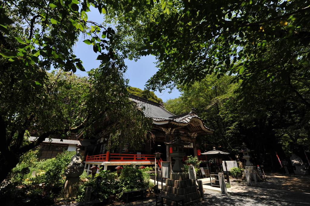よく行く寺