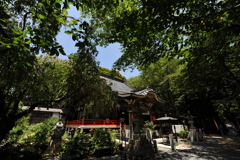 よく行く寺