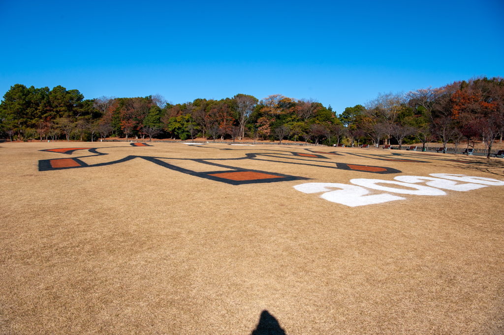 宇宙から解る絵