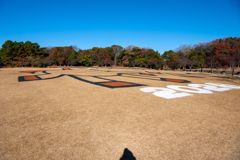 宇宙から解る絵