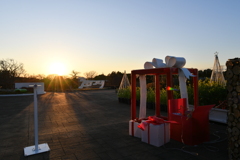 フラワーパークの夕暮れ