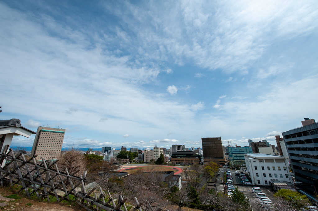浜松城から市街