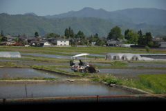 田植えの安曇野