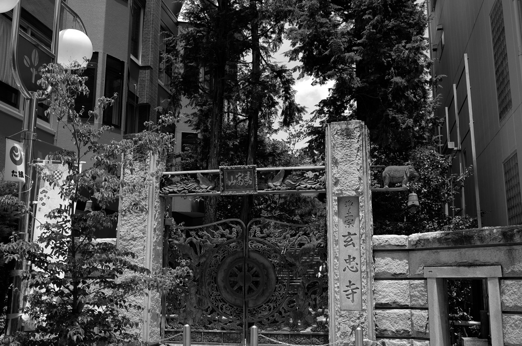 味深き寺の門 B&W