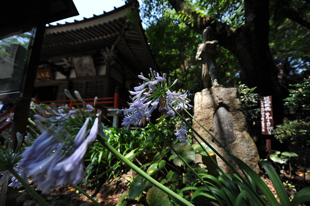 寺