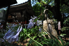 寺
