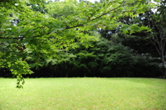 コーディネイトGreen