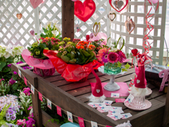 色鮮やかで華やか