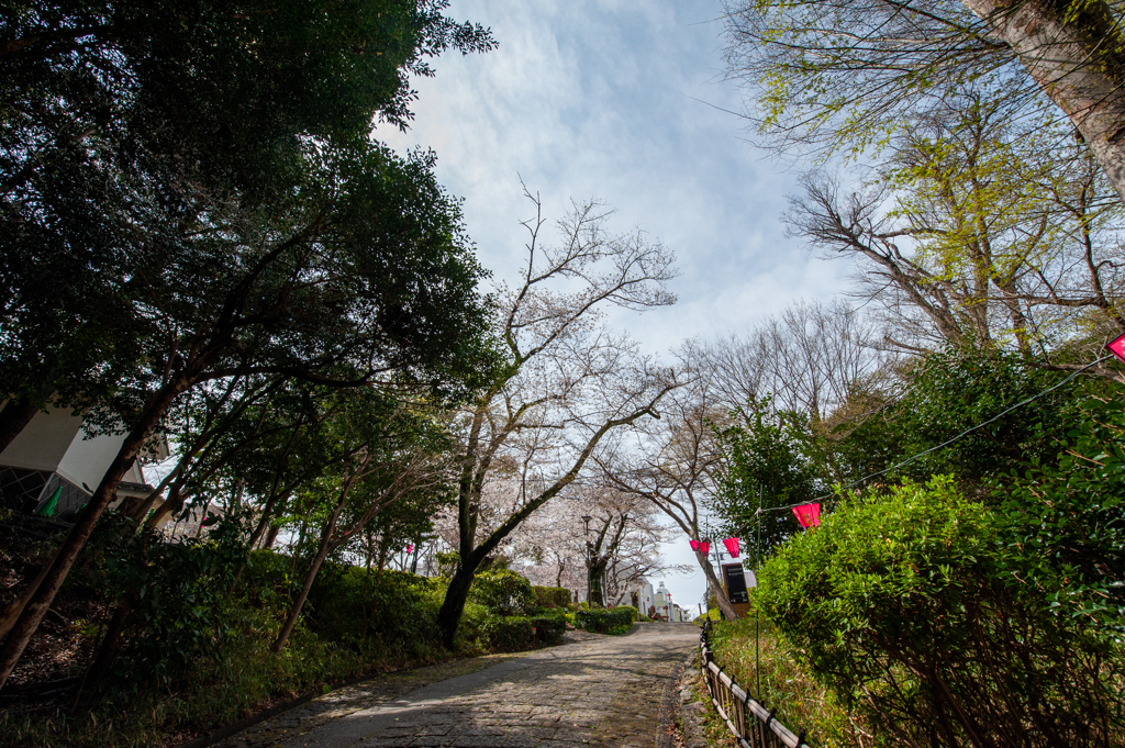 浜松城公園