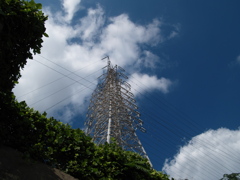 ひと昔前の絵　OLYMPUS ブルー