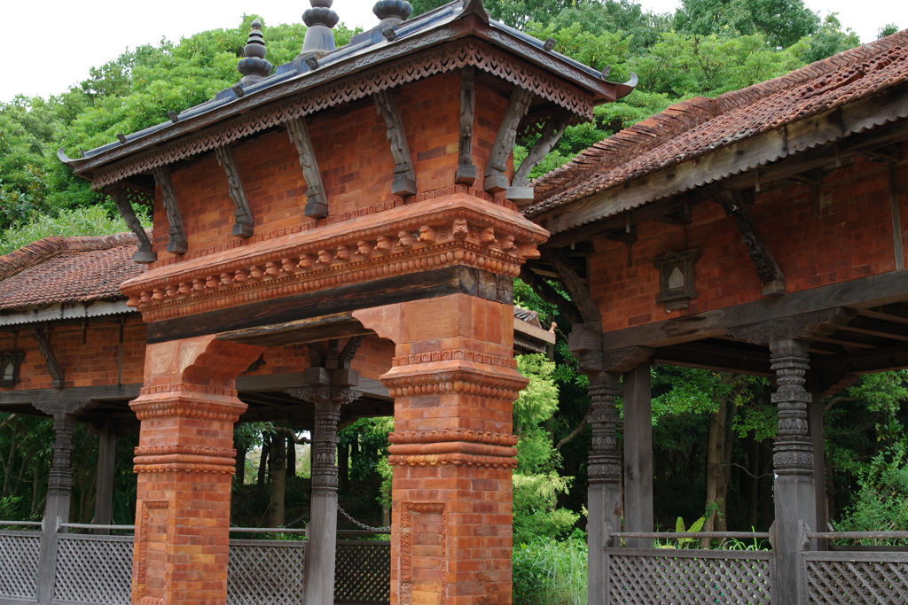 南国の建物