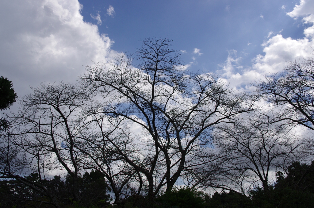 秋の空！？