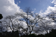 秋の空！？